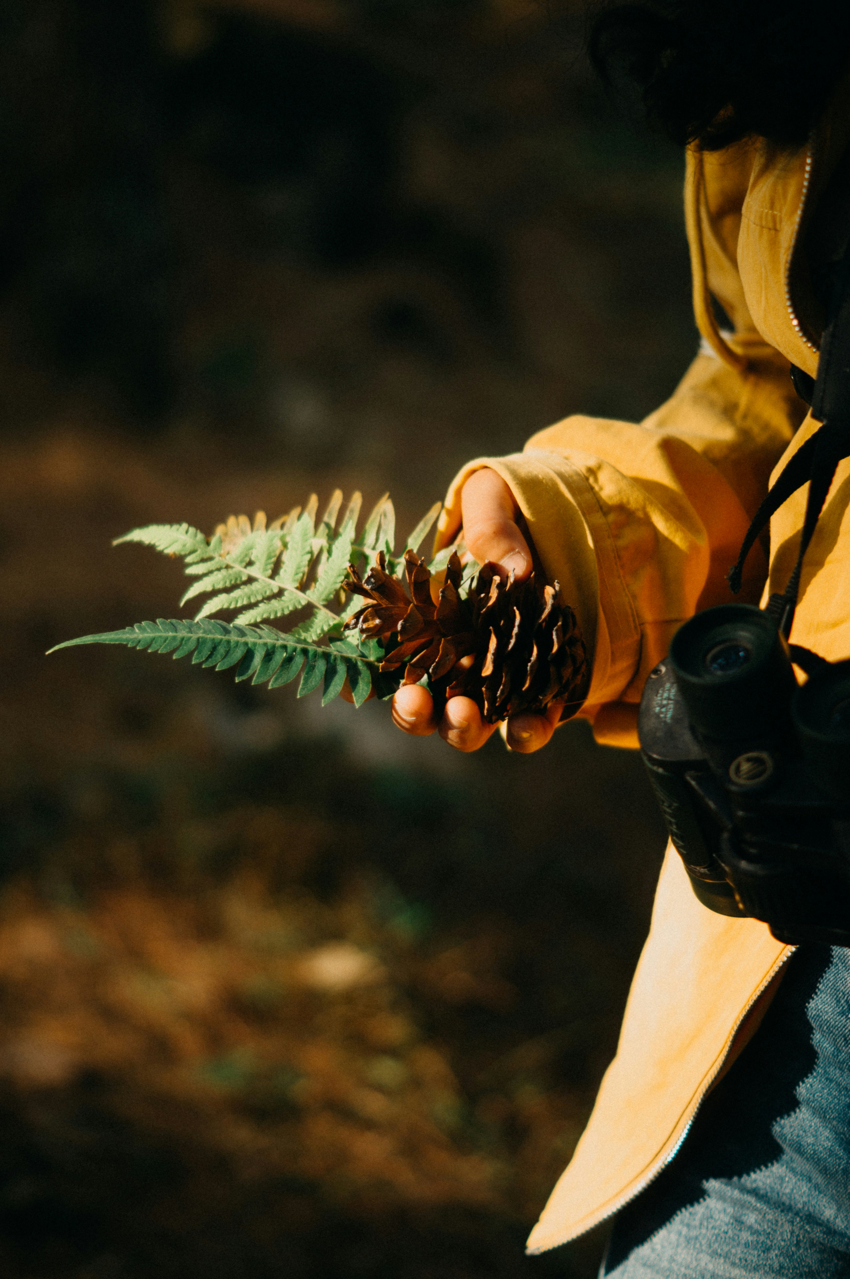 a person holding a small plant